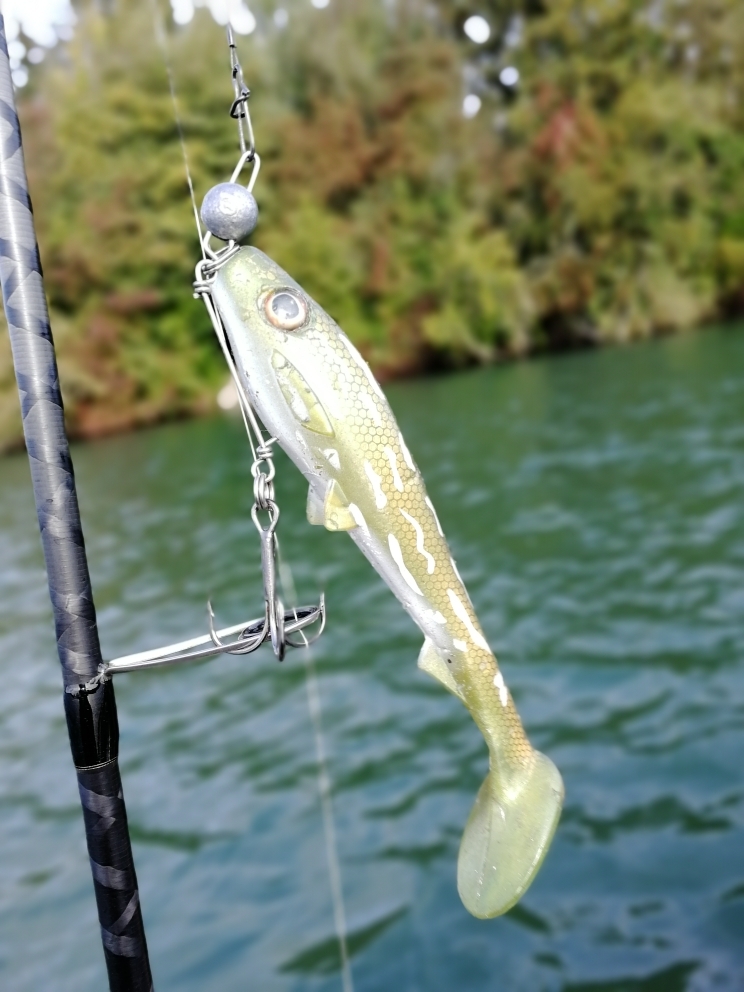 Pikecraft The System SET Light; Screw Size: S (2x The System & 4 Wechselbleie [5, 10, 15 & 20g]) Shallow Screw