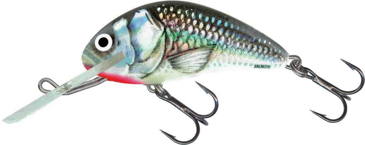 Holographic Grey Shiner 6cm Sinking