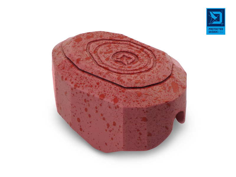 Delphin Method QUIX Form