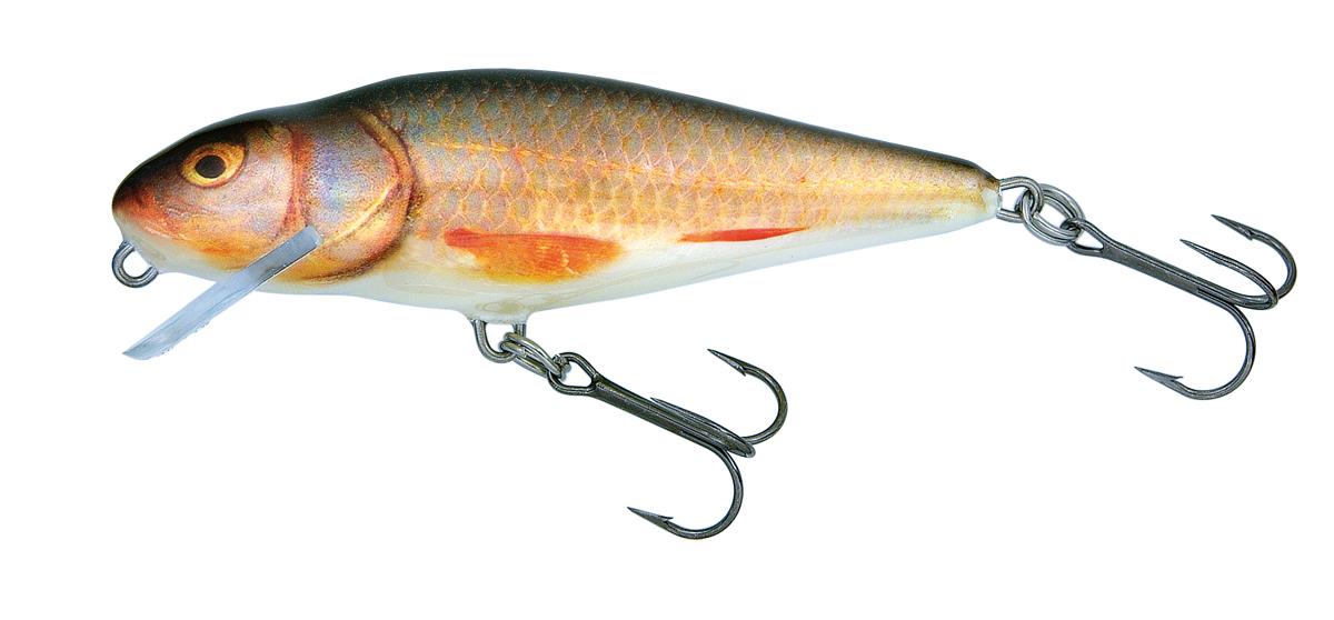 Real Roach 12cm Shallow Runner