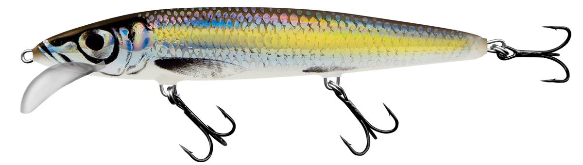 Silver Chartreuse Shad 9cm Floating