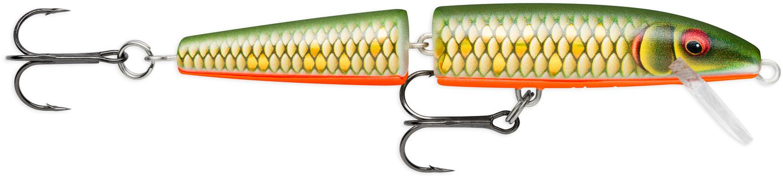Scaled Roach (SCRR)