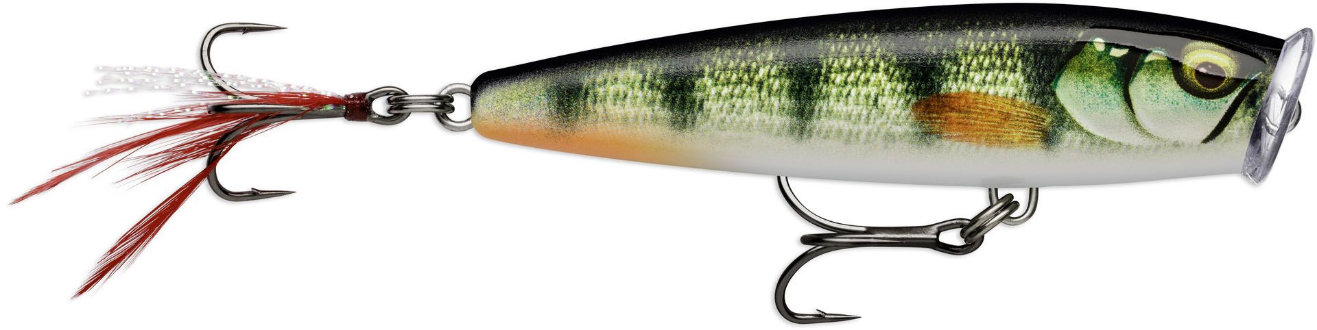 Gilded Live Perch (GDPEL)