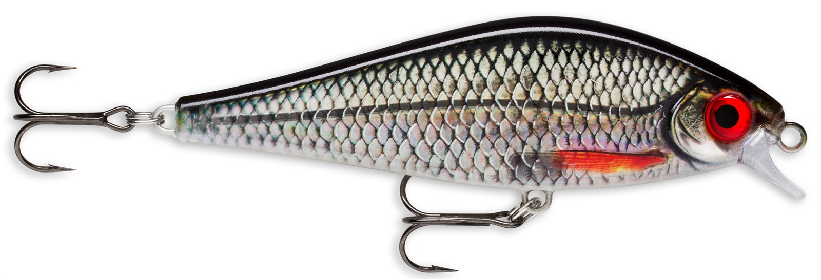 Live Roach (ROL)