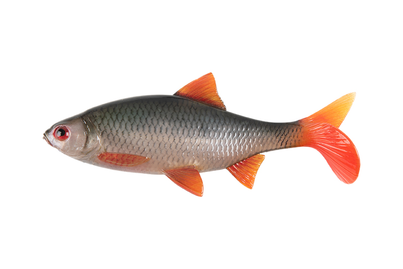 Fox Rage Ultra Realistic Replicant