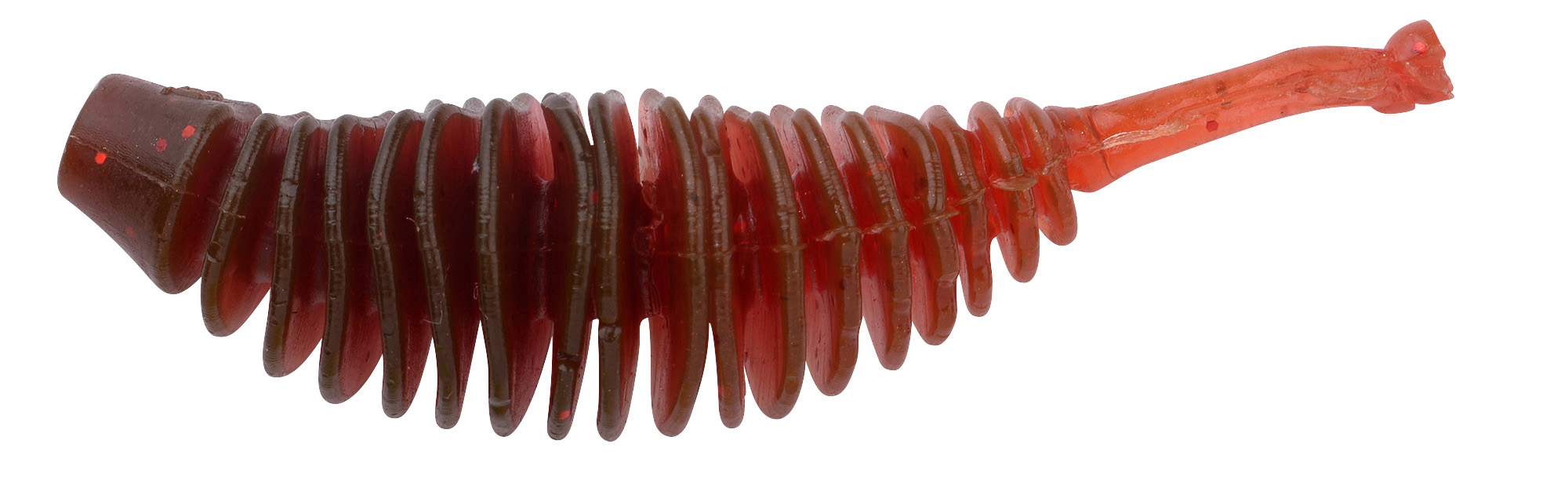 Worm