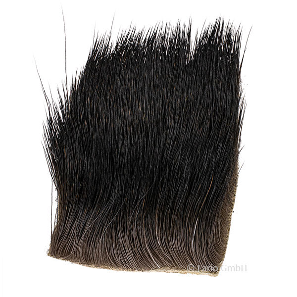 Elch Köperhaar Natur