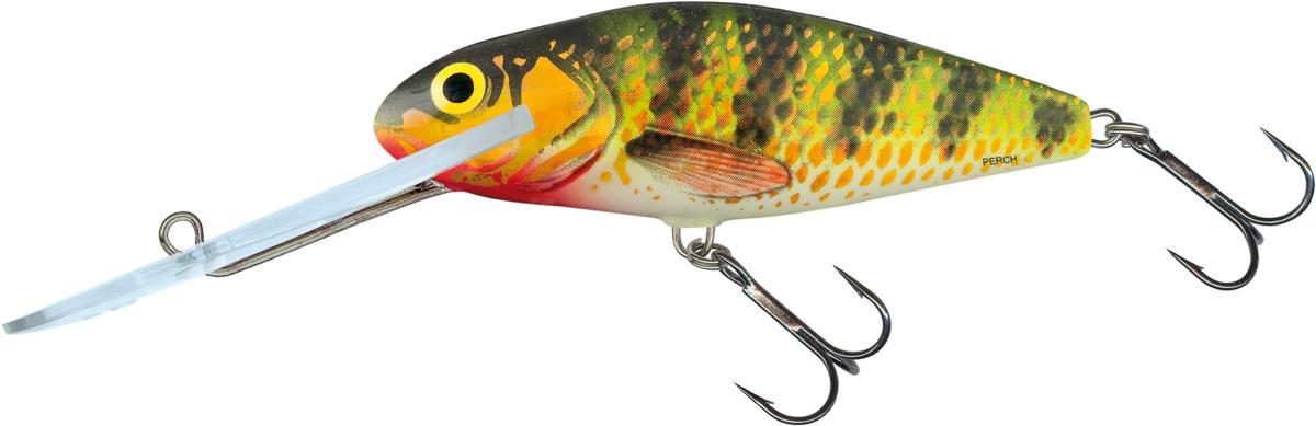 Holo Perch 12cm SDR