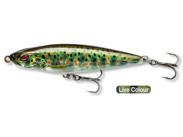 Daiwa PX Pencil BT65F Live Brown Trout