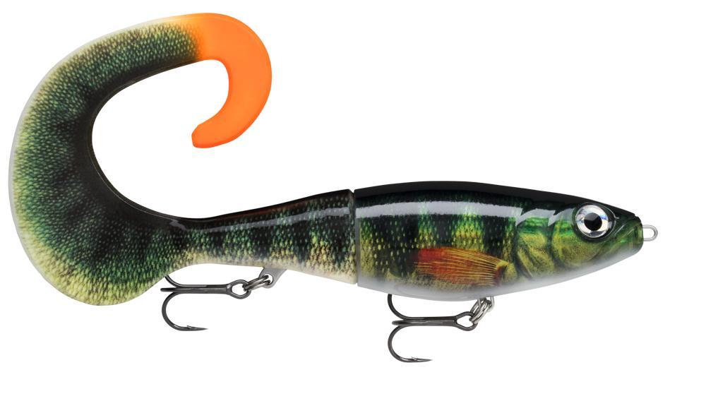 Live Perch (PEL)