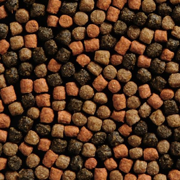 Coppens Koifutter OSW 6mm 2kg Coppens Koifutter OSW 6mm 2kg