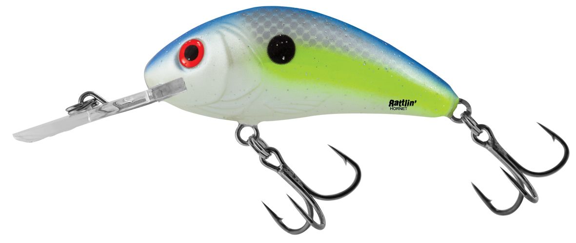 Sexy Shad