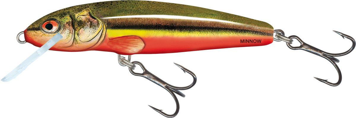 Rainbow Dace 5cm Sinking