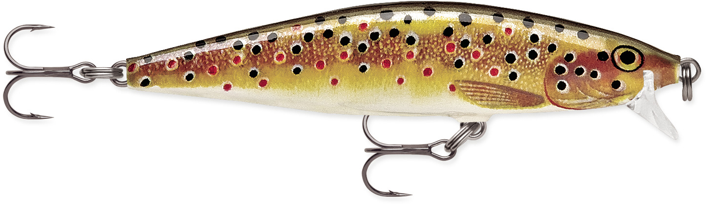 Brown Trout (TR)