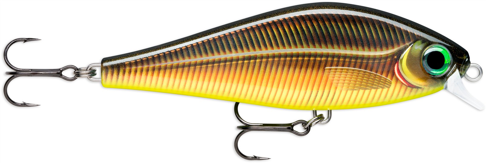 Golden Live Smelt (GSML)