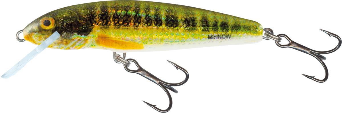 Holo Real Minnow 5cm Sinking
