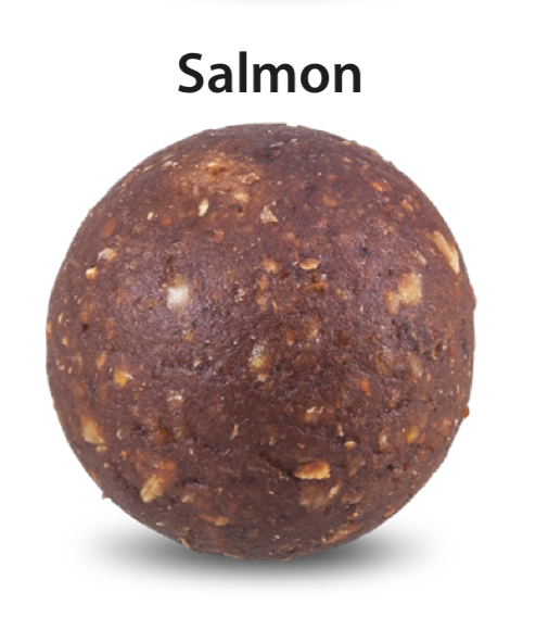 Salmon