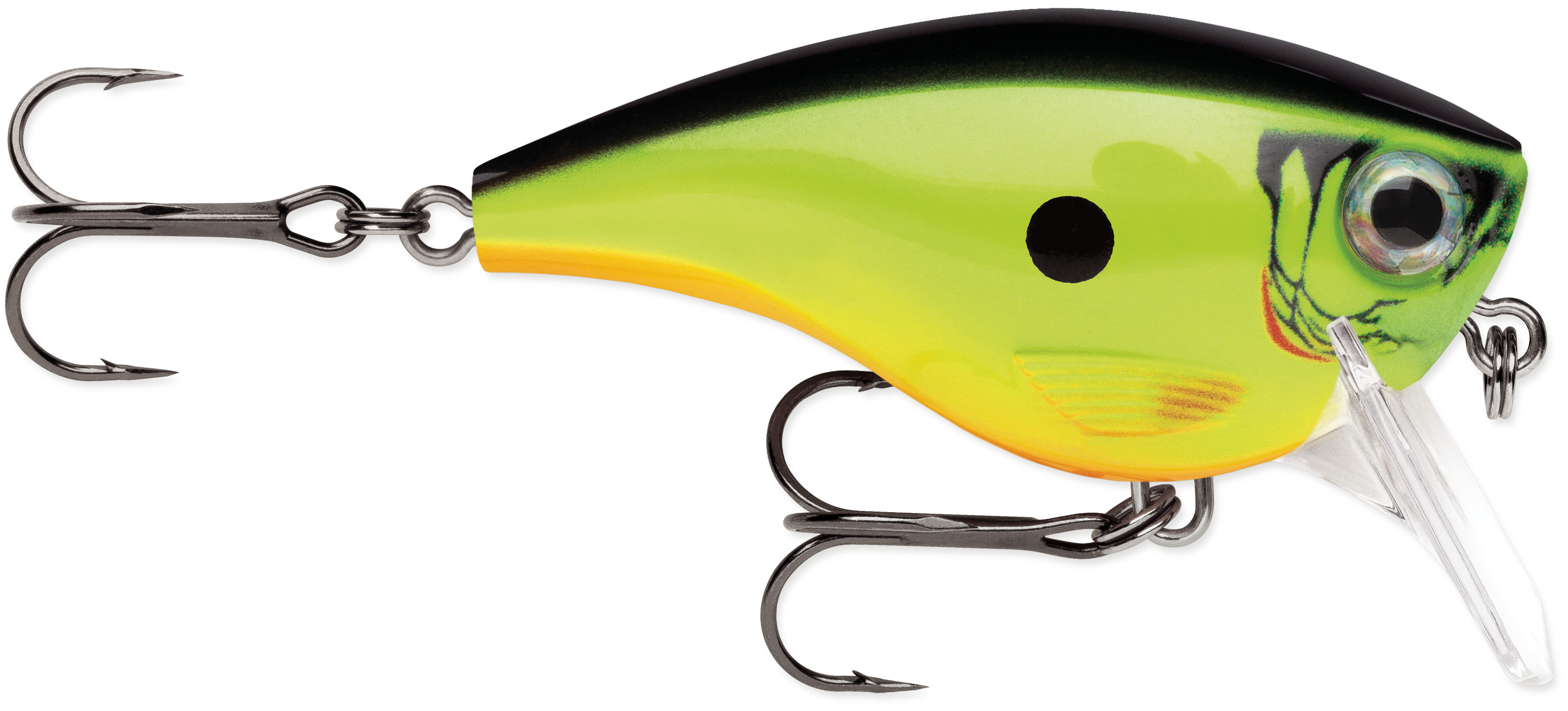 Chartreuse Shad