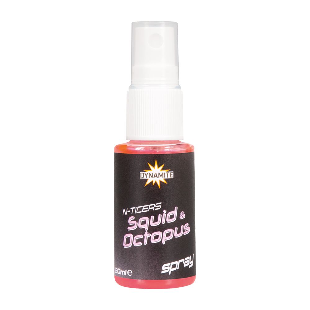 Squid & Qctopus