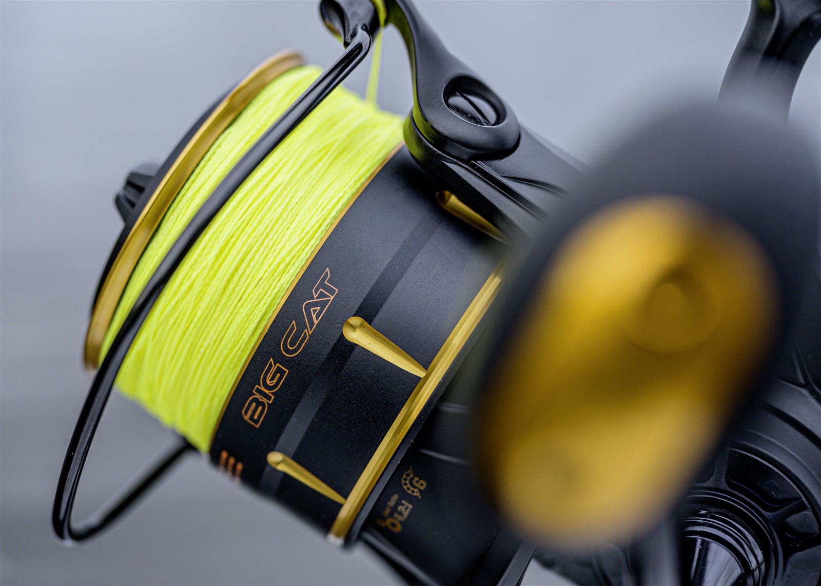 Black Cat Catextreme Big Cat Modell: 105 Black Cat Catextreme Big Cat Modell: 105