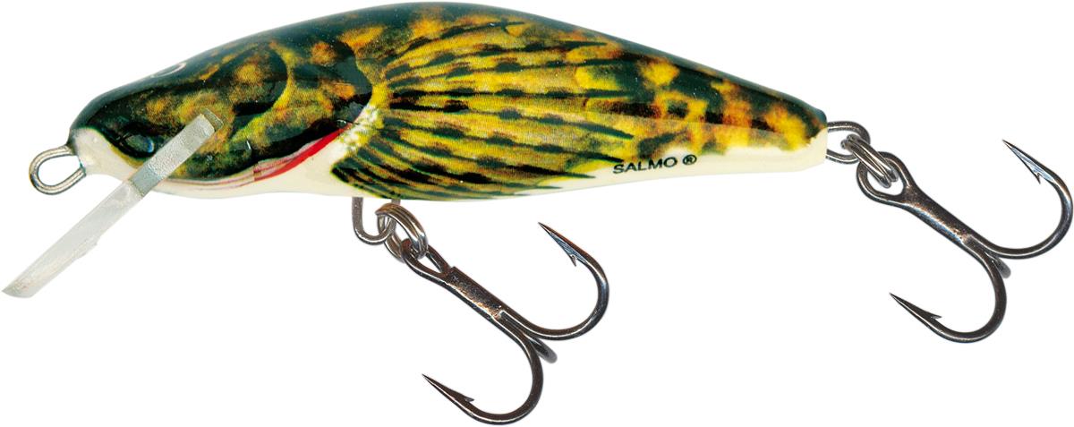 Salmo Hot Bullhead 6cm Sinking