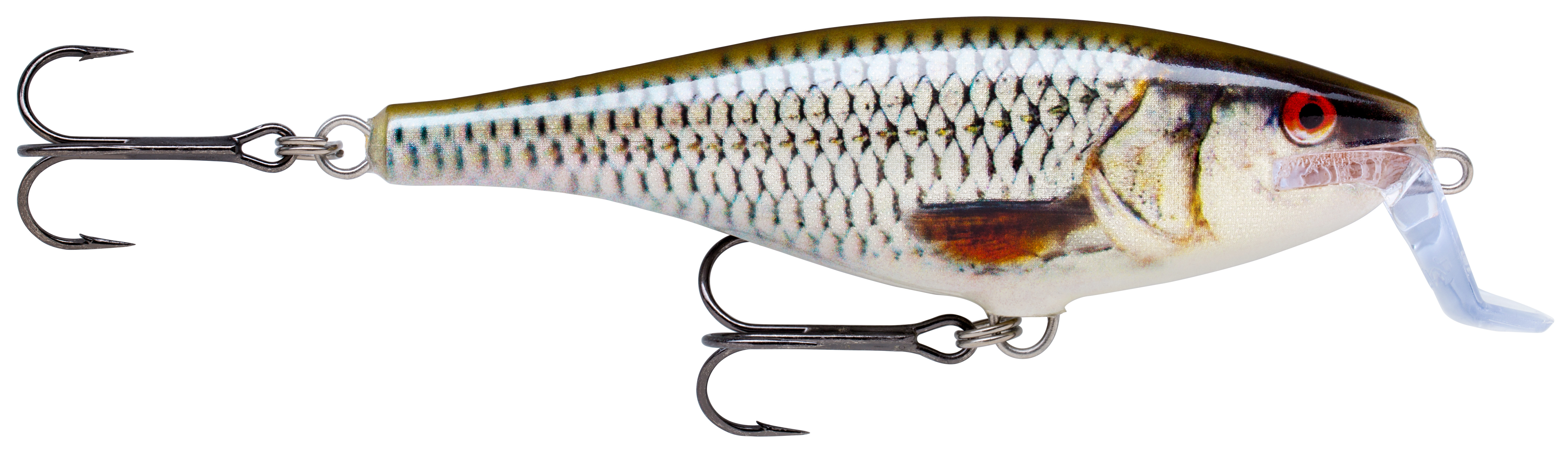 Rapala Super Shad Rap 14 cm Live Roach