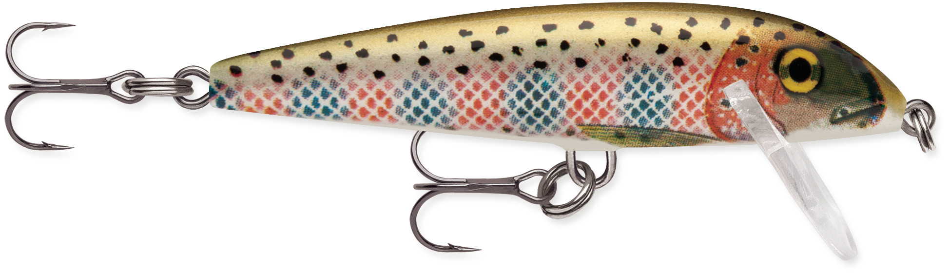Rainbow Trout