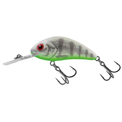 Ghost Perch