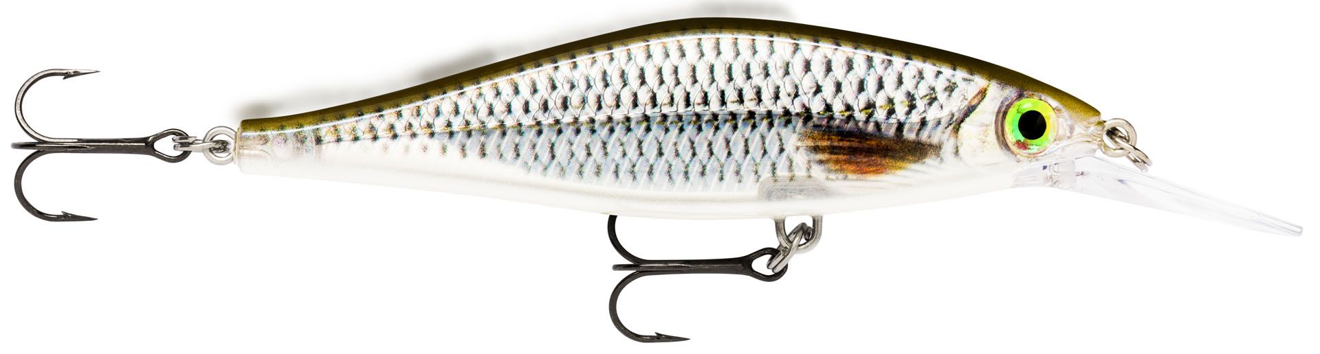 Live Roach (ROL)