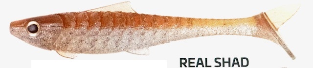 Zeck UBS Baby Rippler Real Shad 14 cm / 18 g / 2 Pcs