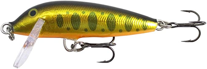Gold Yamame