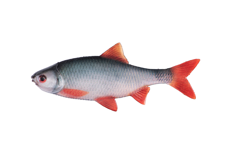 Fox Rage Ultra Natural Fillets 8 cm Natural Roach