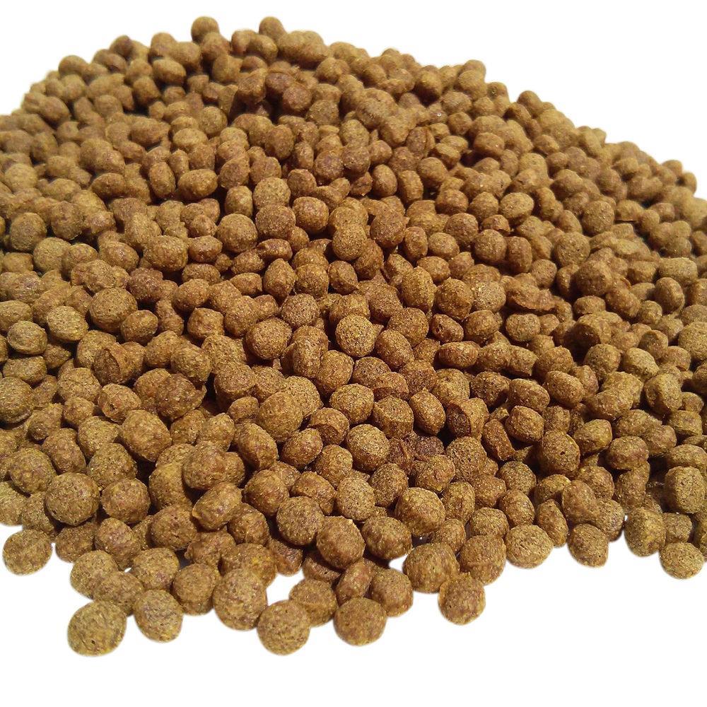 Coppens WHEAT GERM (6.0 mm) Koi Winterfutter; 2 Kg Coppens WHEAT GERM (6.0 mm) Koi Winterfutter; 2 Kg