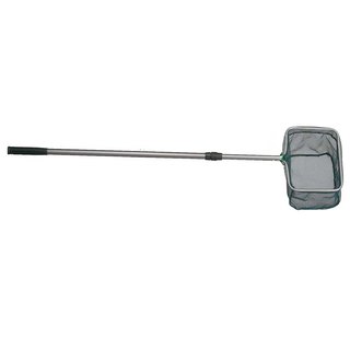 Sänger Teichkescher; L: 1,50 m