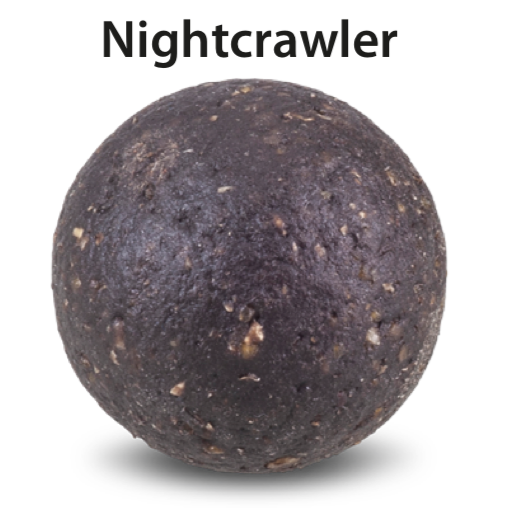 Nightcrawler-Wurm