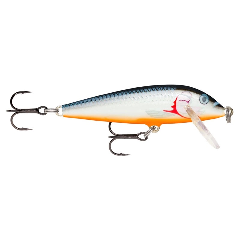 Silver Shiner