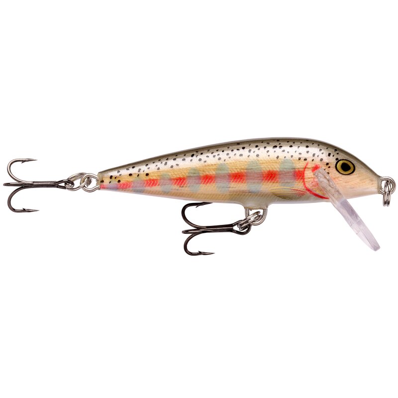 Balsa Juvenile Rainbow Trout