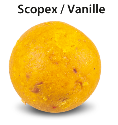 Scopex-Vanille 