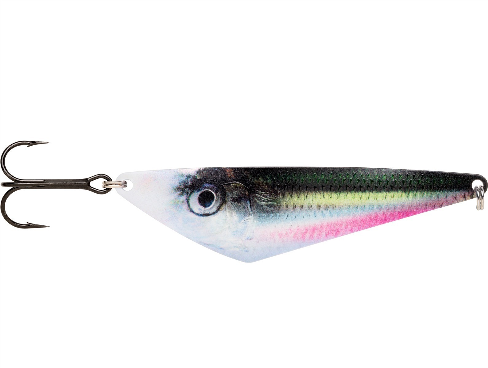 Live Herring