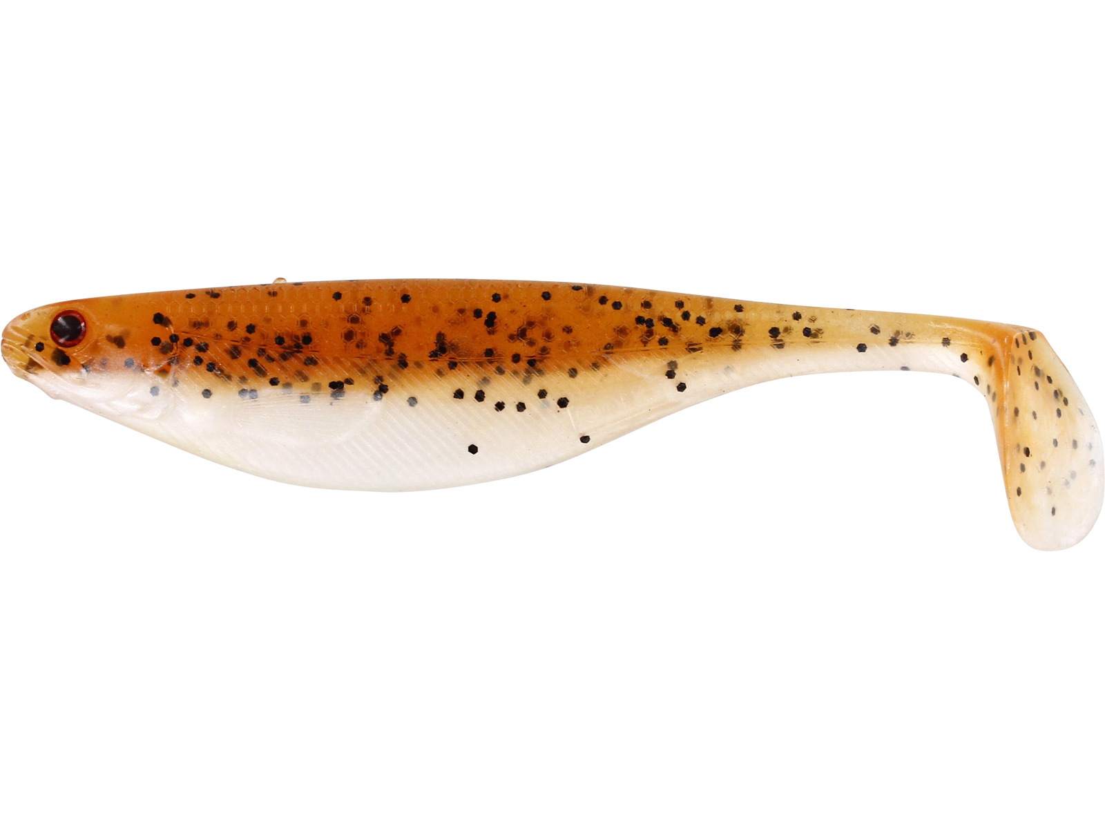 BAITFISH