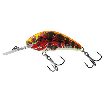 Holo Red Perch